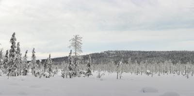 Pallas-Yllästunturi National Park 