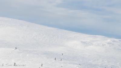 Pallas-Yllästunturi National Park