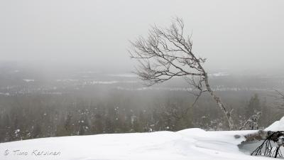 Pallas-Yllästunturi National Park