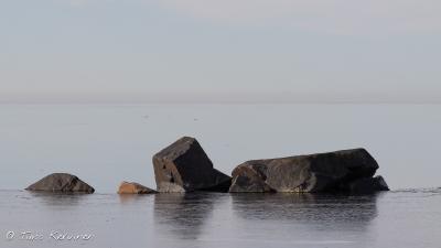 Pori