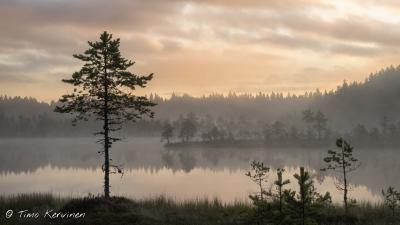 Seitseminen National Park