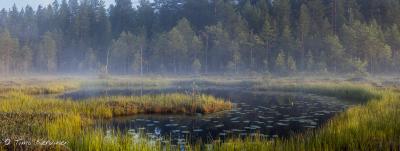 Seitseminen National Park
