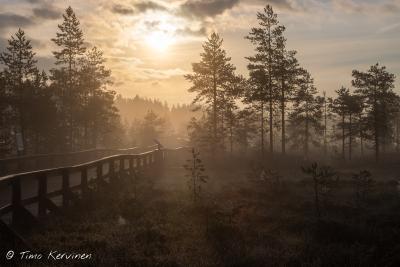 Seitseminen National Park