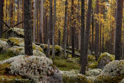 Heinola