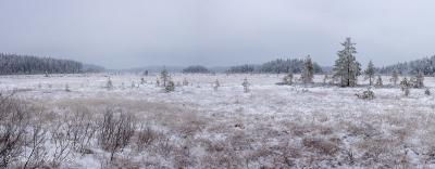 Tampere